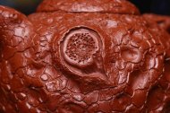 《靈芝供春》經典紫砂壺供春宜興全手工工藝美術師泡茶壺茶具大紅袍