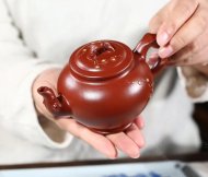 寒梅報春