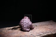 《招財金蟾》宜興紫砂壺茶壺茶具紫泥手工泡茶壺
