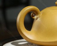 《金蟾納?！? title=