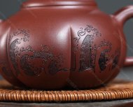 五彩菱花