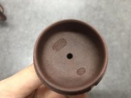 生機
