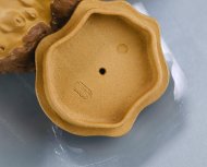 樹樁壺