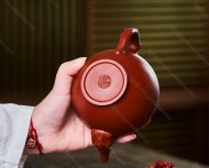 桃報春