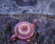 魚躍龍門