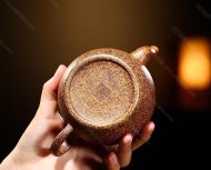 束帶金獅