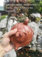 《風卷葵》