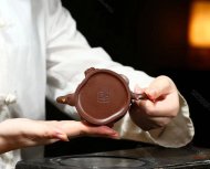 樹(shù)樁