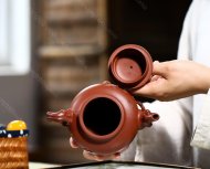 梅報春