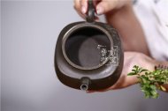 《桃李滿門》