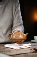 江南好，風景舊曾諳【平蓋子冶】