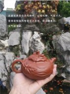 《風卷葵》