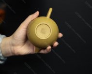 巨輪珠