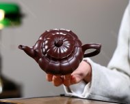 筋紋笑櫻