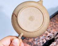 玉蘭花開