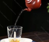 寒梅報春