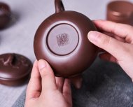 玉蘭花開