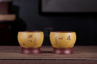 《主人杯》宜興實力派名家手工紫砂壺黃龍山黃金段泥料茶壺茶具