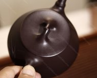 竹節石瓢
