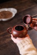 《印花扁西施》宜興紫砂壺實力派名家純手工禮品茶具紅皮龍西施茶壺