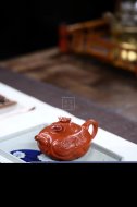 《小魚化龍》