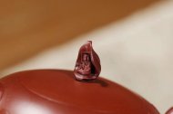 《一花一世界》宜興工藝美術師全手工紫砂壺茶壺老師大紅袍