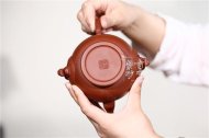 《瑞獅納福》