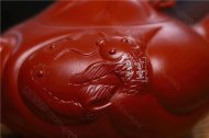 《魚化龍套組》