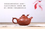 《魚化龍》