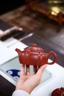 《福花如?！? title=