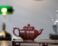 筋紋笑櫻