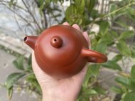 龍蛋