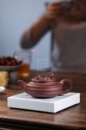 《望子成龍》宜興紫砂壺底槽青純手工工藝美術師泡茶壺特價茶具