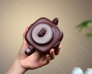 龍驤虎視
