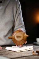 江南好，風景舊曾諳【平蓋子冶】
