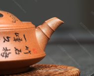 牛蓋竹節