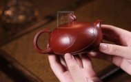 《一花一世界》宜興工藝美術師全手工紫砂壺茶壺老師大紅袍