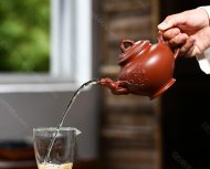 梅報春