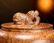束帶金獅