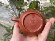 龍蛋