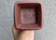 觀海聽濤