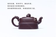 《龍騰戲水》