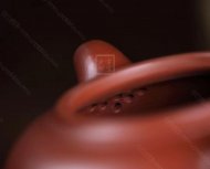 《線韻納福》