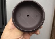 高風亮節