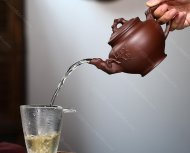 梅報春