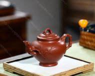 梅報春