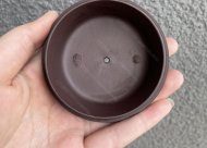 雄風