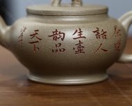 飲龍