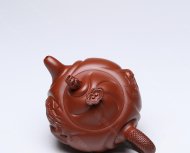 魚化龍套組