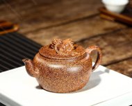 束帶金獅